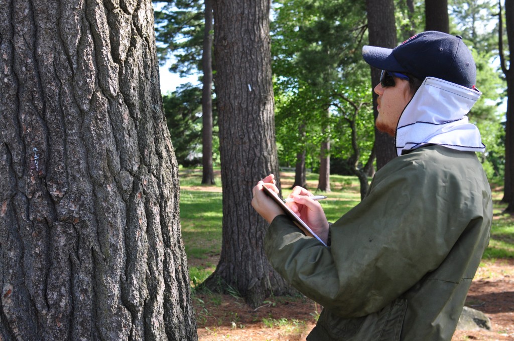 Lynn Valley Manufacturing