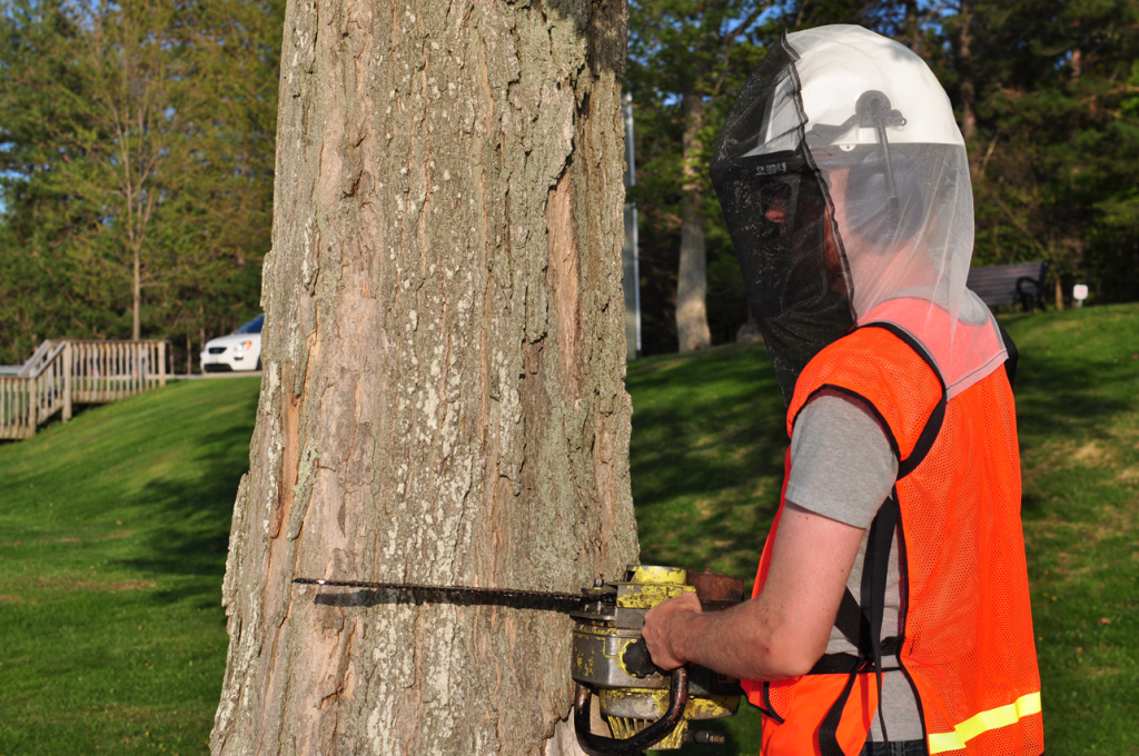 Lynn Valley Manufacturing