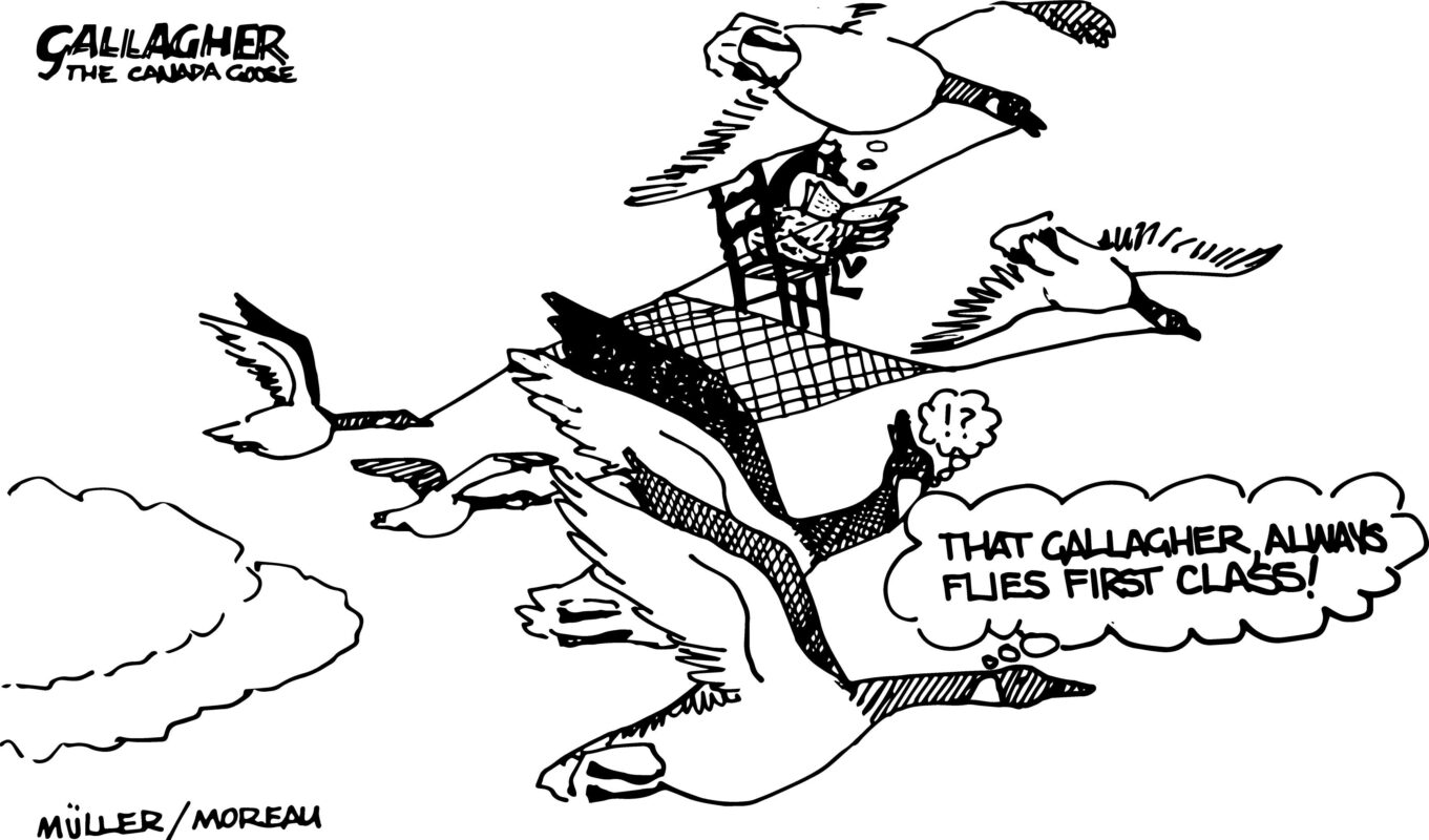 Lynn Valley Manufacturing