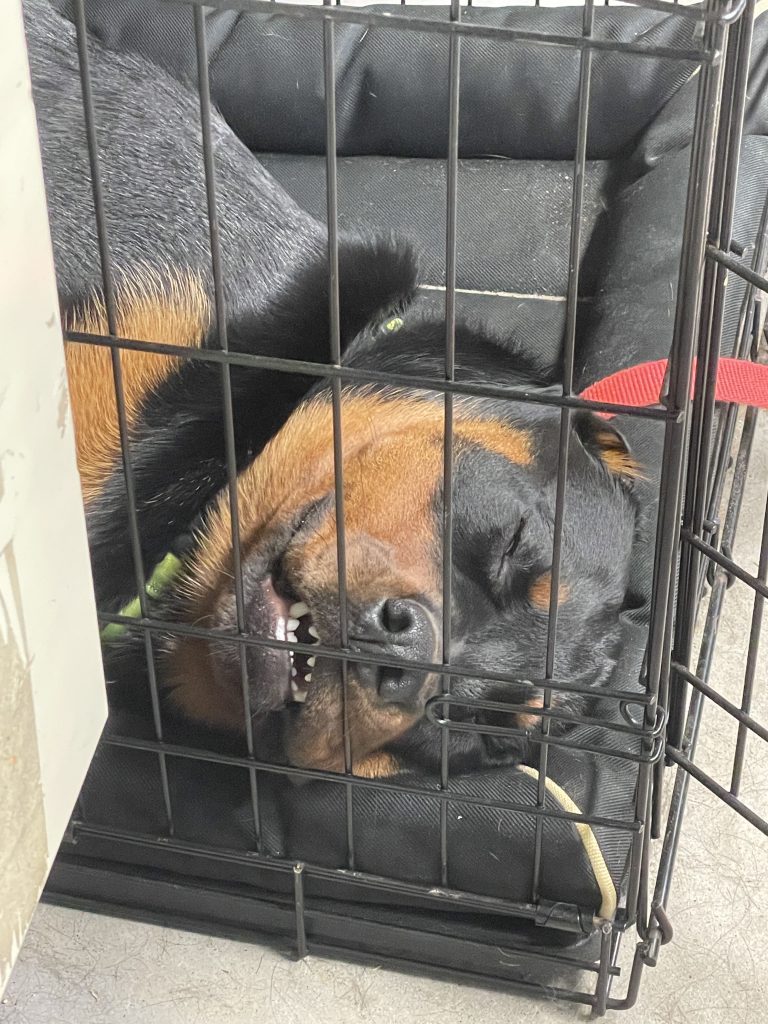 Lynn Valley Manufacturing