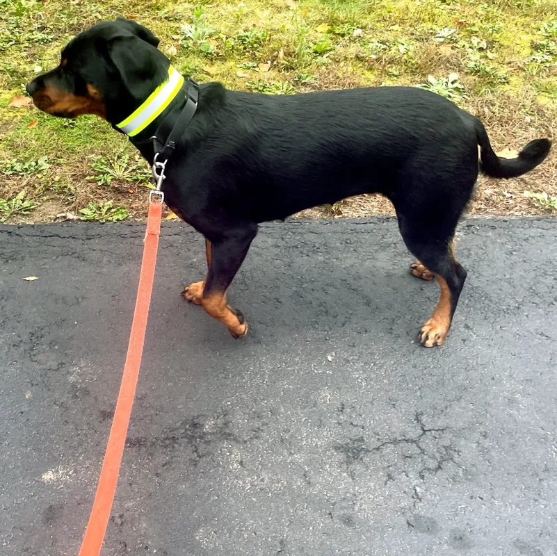 Lynn Valley Manufacturing