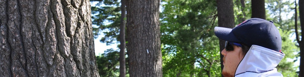 Lynn Valley Manufacturing