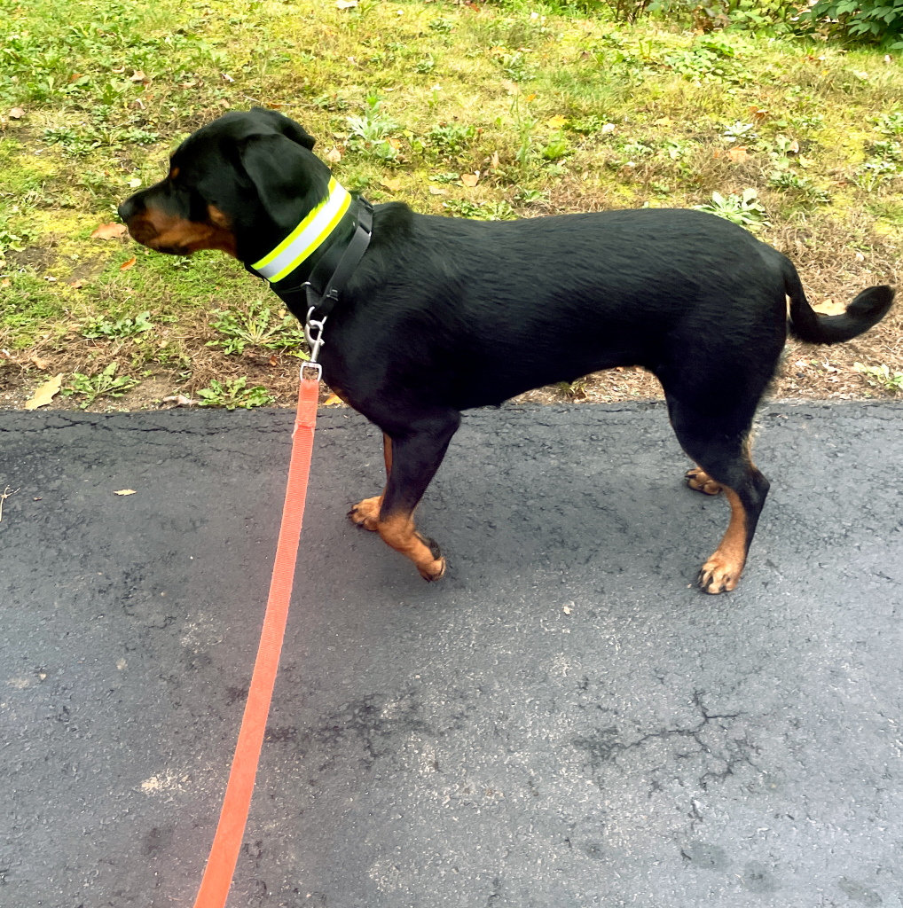 Lynn Valley Manufacturing