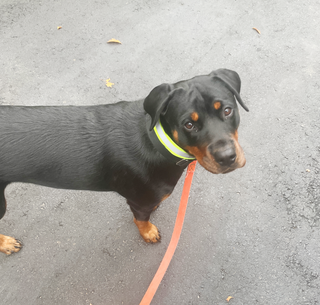 Lynn Valley Manufacturing