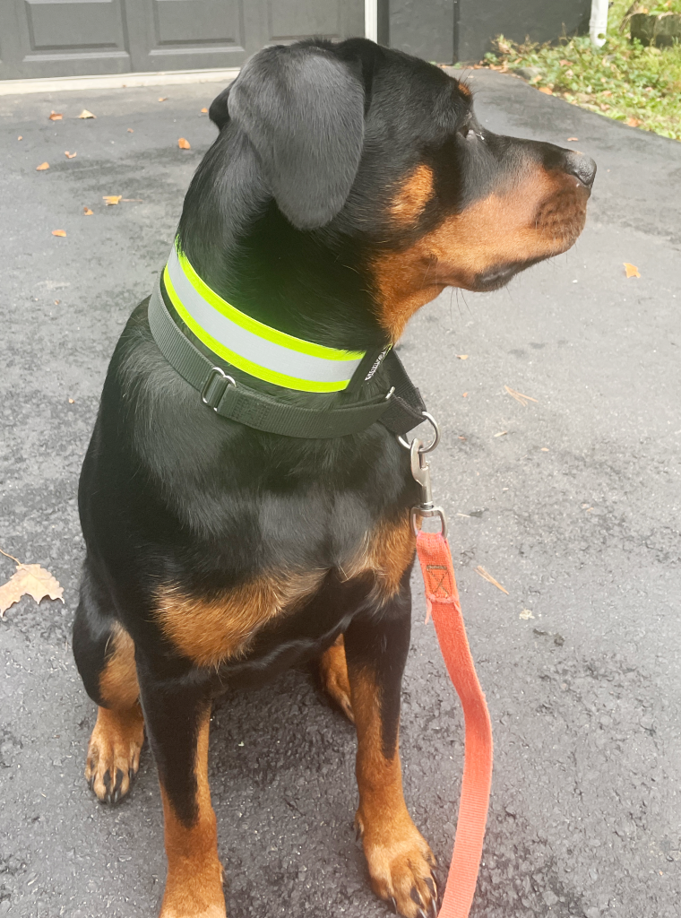 Lynn Valley Manufacturing