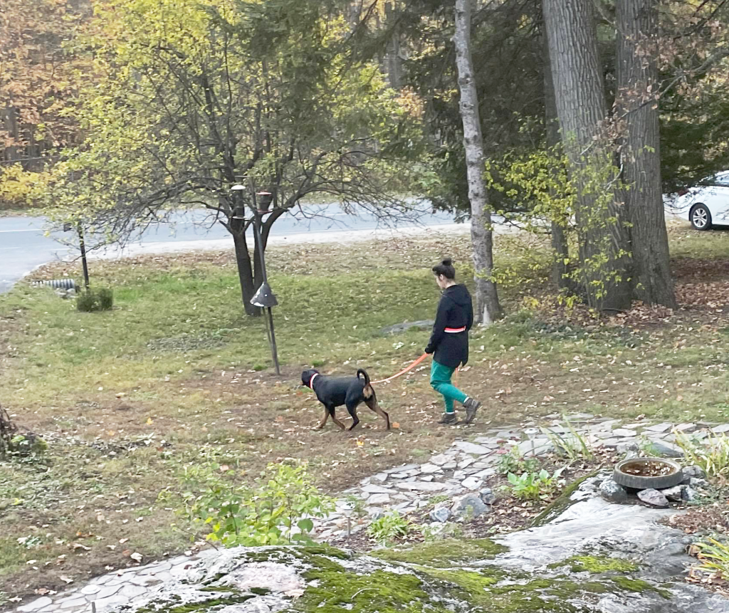 Lynn Valley Manufacturing